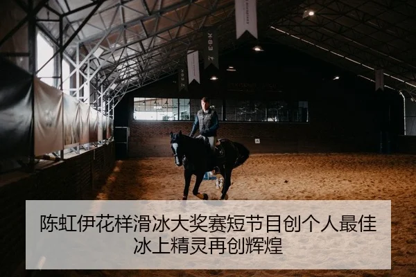 chen-hong-yi-hua-yang-hua-bing-da-jiang-sai-duan-jie-mu-chuang-ge-ren-zui-jia-bing-shang-jing-ling-zai-chuang-hui-huang-2-331.jpg